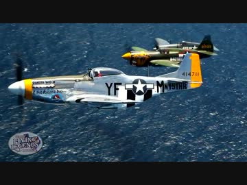 サン・バルテルミ島エアショー オンボードカメラ