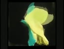 Octo Octa - I'm Trying