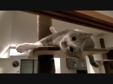 モアレとクリエ 「うねうねモアレ」