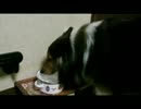 舌を湿らせ味わう