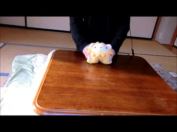 ラジオ体操を短調で演奏したついでにペットに体操させてみた
