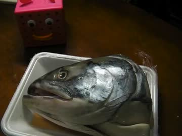 中年男性の中年男性による中年男性の為の福福福福袋