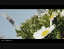 【歌ってみた】春に一番近い街【ふる】