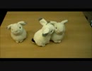 ３DSコマ撮りアニメ「３びきがいく」