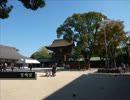 参道をゆく ～筑前一宮 住吉神社・筥崎宮～