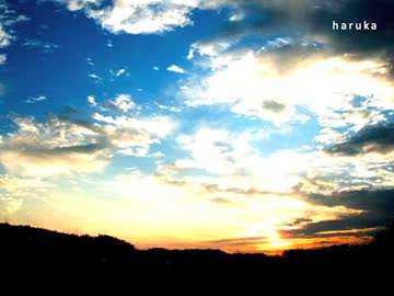 haruka - 花近×oga