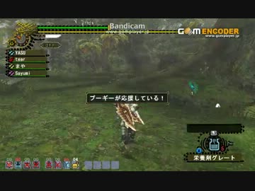 【MHF】　剛暴！双獰竜　２ラスタ