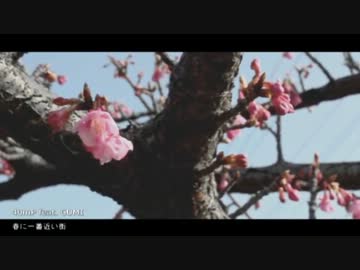 春に一番近い街 歌ってみた 【オトメガネ】