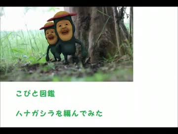 「作ってみた」あみぐるみで小人図鑑ハナガシラを編んでみた.wmv