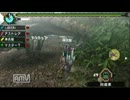 とある4人の学生が「MHP3rd」を全裸で実況してみた【リオレイア】