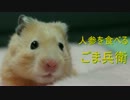 【ハムスター】ごま兵衛の日常vol5