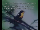 とってのDCプレイ動画 第191弾[ルームメイトノベル ～佐藤由香～]その３