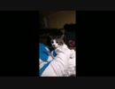 ペットのニャーちゃん