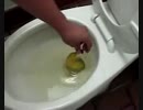 バナナとパンと靴下をトイレに流してみた