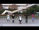 【名古屋】ハレ晴レユカイを踊るオフ12/1【白川公園】