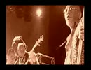 「Angel」  The Bunny's