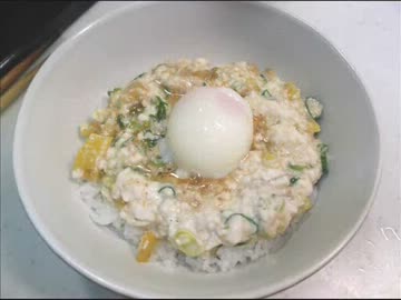 【タモリの】豆腐丼【作ってみた】