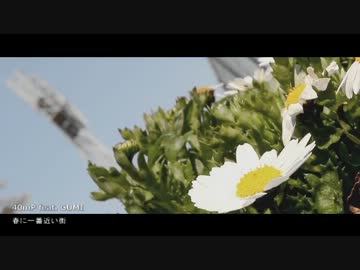 春に一番近い街、歌ってみた　 ヤシロ