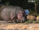 たけひこ動物園Part3