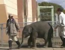 たけひこ動物園Part6