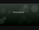 Funny Bunny.wmv