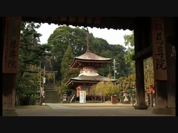 【世界遺産】慈尊院を歩いてみた【紀伊山地の霊場と参詣道】