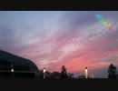 【旅立ちの日に-Arrange-】卒業記念に歌ってみた【ほーた。】