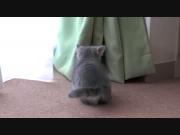 4年前はこうだった