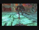 C９【ルナヘル】バグ