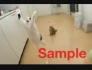 放送用BGMその５