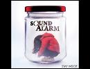 SOUND THE ALARM - STAY INSIDE