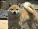 南阿蘇 vol. 1