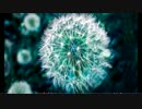 【ボカ練５_IA/初音ミク】ＤＴＭとボカロの練習　カバー曲「サクラ色」