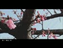 「春に一番近い街」歌ってみた！☆KOINU☆