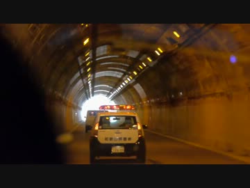 ３月１２日　チーム関西　太地町の生態系破壊　シーシェパード狩り　⑧