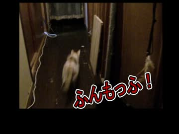 バイクのある生活PART4