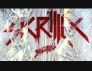 SKRILLEX & WOLFGANG GARTNER - THE DEVIL'S DEN