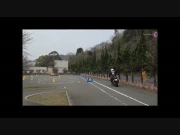 テストがてら長井鶴