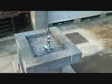おバカな男子高校生の日常