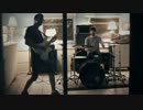 Animal Faces - Forward Through