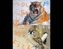 ヘタレ二匹が実況を始めたようです　中