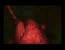【ゆっくり実況】 Yukkuri May Cry 【ＤＭＣ１】 part18