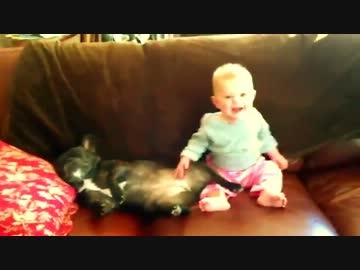 笑う赤さんとフレンチブルドッグ