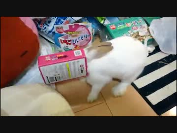 食いしん坊にもほどがある（・×・）