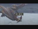 防具・回復無し、アイテムは砥石のみ、一乙リタイアでMHP2Gを実況 part 27-2