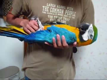 りょうの寝床で大暴れ（１２年３月１７日）