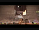 L4D2-適当に野良coop