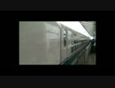 こだま650号東京到着('120311)