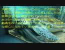 【黒歴史を作る】サイレントヒル1　part13【実況】