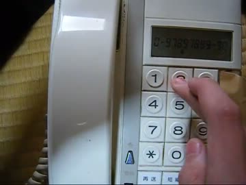 電話でアゲハ蝶を演奏してみた